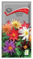 Георгина До-ре-ми 0,1г  Георгина До-ре-ми 0,1г