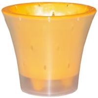 Кашпо для орхидей Ванда 1,2л прозрачный с желтой вставкой ВД15-04