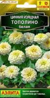 Аэлита Цинния Тополино белая 12шт 