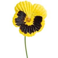 Стикер садовый Анютины глазки желтый 108899