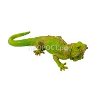 Хамелеон 43х13 см  12532