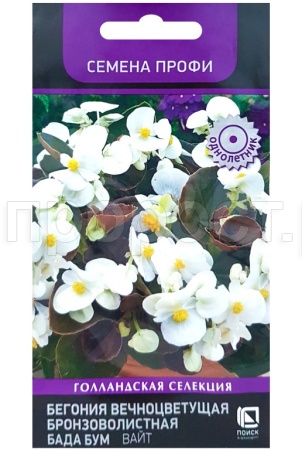 Бегония вечноцветущая бронзоволистная Бада Бум Вайт 15шт Бегония вечноцветущая бронзоволистная Бада Бум Вайт 15шт