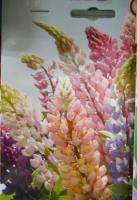 Люпин Смесь Рассела мног. 20*1 