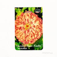 Цинния Вальс Каприс желто-кремовая 20*1 Цинния Вальс Каприс желто-кремовая 20*1