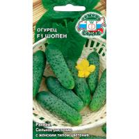 Седек Огурец Шопен F1