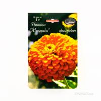 Каприс Цинния Мишутка оранжевая 20*1