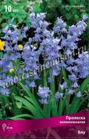 Пролеска колокольчатая Блу (голубая, 10шт, 7/8) 766460