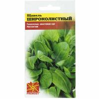 PROROST Щавель Широколистный 0,5г
