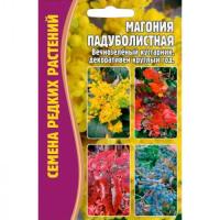 Магония Падуболистная 10 шт Магония Падуболистная 10 шт