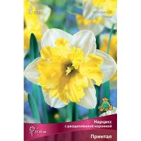 Нарцисс с Расщеплённой коронкой Принтал (5шт, 12/14) 825781