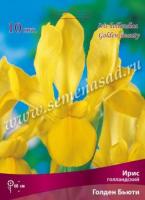 Ирис Голландский Голден Бьюти (6/7) 10 шт 