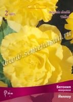 Бегония Махровая Йеллоу