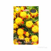 Бархатцы Золото МакКенны 20*0,5 Бархатцы Золото МакКенны 20*0,5