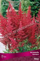 Астильба Арендса Фёэр (I) 1 шт