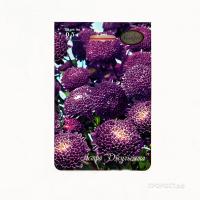 Астра Помпонная синяя Джульетта 20*0,5  Астра Помпонная синяя Джульетта 20*0,5