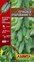 Аэлита Огурец Пучковое очарование F1 10шт