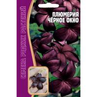 Плюмерия Черное Окно 3 шт Плюмерия Черное Окно 3 шт