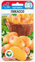 Картофель Пикассо 12шт