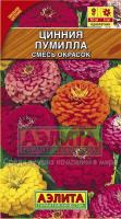 Аэлита Цинния Пумилла смесь 0,3г