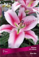 Лилия ОТ-Гибрид Бон Ши (12/14) 3 шт 