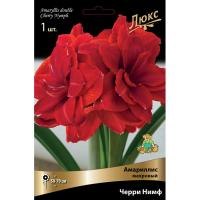 Амариллис махровый Черри Нимф (24/26) 1 шт 