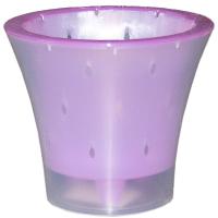 Кашпо для орхидей Ванда 1,2л прозрачный с фиолетовой вставкой ВД15-05