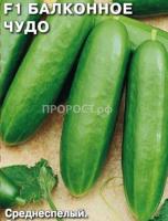 Седек Огурец Балконное Чудо F1 0,2г  