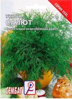 Сембат Укроп Салют 10г XXXL