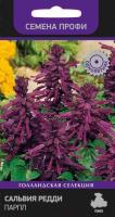 Поиск Сальвия Редди Парпл 10шт 