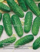 Сембат Огурец Конкурент 5г XXXL