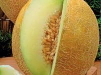 Дыня Южанка 25 г Дыня Южанка 25 г