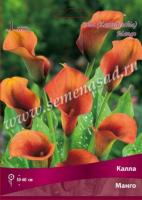 Калла Манго 14/16