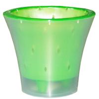 Кашпо для орхидей Ванда 1,2л прозрачный с зеленой вставкой ВД15-03
