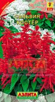 Аэлита Сальвия Костер 0,1г
