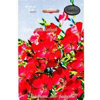 Лен Красный Пламя 20*1 Лен Красный Пламя 20*1