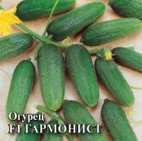 Гавриш Фермерская Огурец Гармонист F1 250шт корнишон