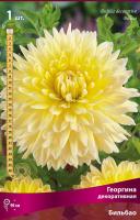 Георгина декоративная Бильбао (I) 1 шт