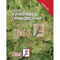 Салат Кучерявец грибовский 5г XXXL