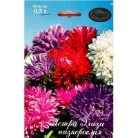 Астра смесь Элиза низкорослая 20*0,7 Астра смесь Элиза низкорослая 20*0,7