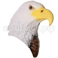 голова орла
