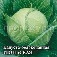 Капуста белокочанная Июньская 10 г Капуста белокочанная Июньская 10 г