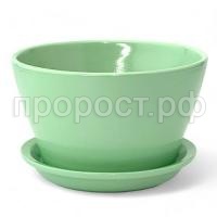 беллита ффист беллита ффист