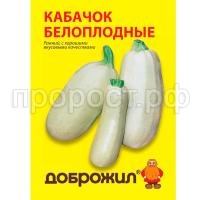 кабачок белоплодные кабачок белоплодные