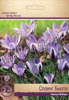 Крокус Спринг Бьюти Крокус Спринг Бьюти