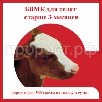 БВМК ТЕЛЯТА СТАРШЕ 3