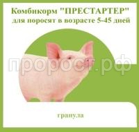 престатер свиньи престатер свиньи