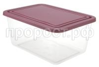 1451-1455_Ёмкость_ягодный 1451-1455_Ёмкость_ягодный