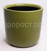 500x500.2bf6654c6e69e738