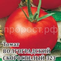 С124013 С124013