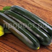 С165833_1 С165833_1